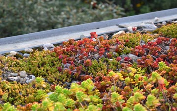 the cost of Emneth Hungate green roof installation