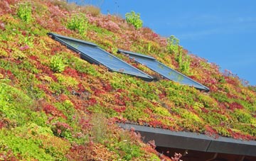 Emneth Hungate living roof systems